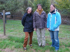 v.l.n.r. Margrit Haller-Reif, Frauke Kess, Kirsten Lehnig