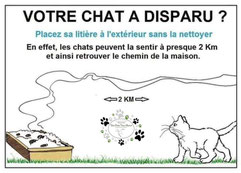 abri et gamelle pour chat dehors Image