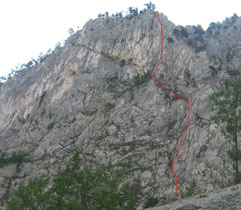 Der Blechmauernpogo verläuft irgendwo im Bereich der roten Linie