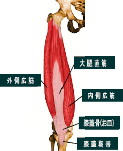 健心整骨院 妊娠中の膝の痛み