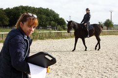 Tarifs de saddlefitting