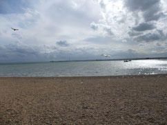 イギリス ブライトンの海