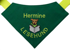 Leshund, Hundehalstuch,grün,Buch