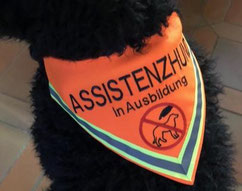 Ein Hundehalstuch bestickt mit Assistenzhund in Großbuchstaben, mit einem Verbotsschild das man den Hund nicht anfassen darf. Mady by textilfashion.de