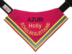 Schulhund, Therapiehund,AZUBI, Begleithund,textilfashion.de, pink