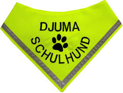 Schulhund, Halstuch, Schulbegleithund, Kenndecke