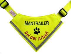 Mantrailer, Halstuch, bei der Arbeit, Klickverschluss, Gurtband