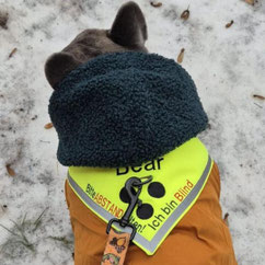 Halstuch für einen blinden Hund, mit Öffnug für den Karabiner um die leine anzuhängen. Bestickt mit Bitte Abstand halten bin blind und Blindenpunkten.