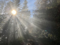 Luzia Niederberger, Bewegungsfreiraum, Yoga, Pilates, Yogatherapie, Cranio5d, Privatstunden 