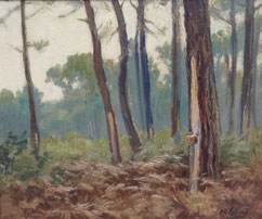 Marius Gueit Bassin d'Arcachon Galerie Bassam Bordeaux Cap ferret