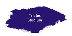 Farbklecks mit der Beschriftung: Triales Studium