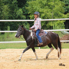 Western riders have so much fun here at our Farm in Columbia SC 