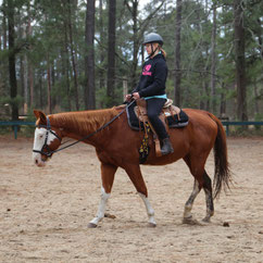 Our riders learn how to balance and have an independant seat