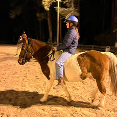 Moonshine Horseback riding at Pony Gang Equestrian Services