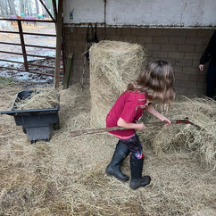 Moonshine Horseback riding at Pony Gang Equestrian Services