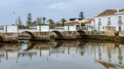 Tavira