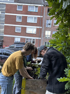 Foto: F.Alberts