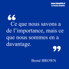 Brené Brown Citation.