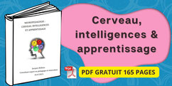 CERVEAU et APPRENTISSAGE (PDF)