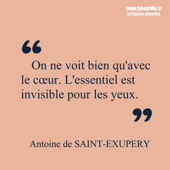 Antoine de Saint-Exupéry citation