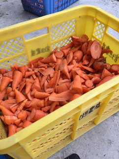 割れたり、穴が開いたり。これが…美味しいんです!飼育員食べながら刻んでおります。笑