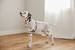 Hundebademantel Palopa