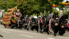 Cannstatter Wasen in Stuttgart 3.Tag