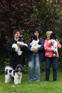 Fred, Bob und Ruby besuchten die Magic Hearts mit ihren Frauchen