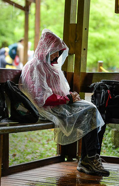tropisches Regenwetter