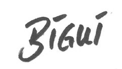 BIGUI, Birgit Deuschle, brasilianische Malerei