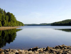 vacances au lac de Vassivière : gîte, yourte, roulotte chez les ânes de Vassivière