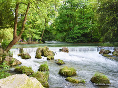 Une rivière traversant le parc