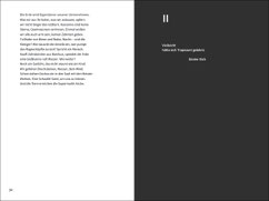 Leseprobe 1