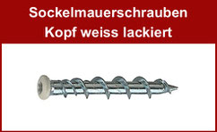 Sockelmauerschraube Kopf weiss lackiert, Linsensenkkopf, Torx