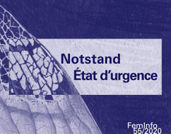 FemInfo 55 2020 - Notstand