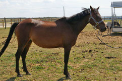 Jane