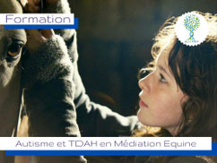 ellipsy-formation-autisme-tdah-en-médiation-équine