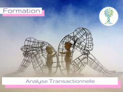 ellipsy-praticien-relation-aide-module-analyse-transactionnelle