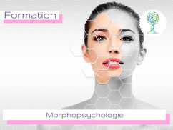 ellipsy-formation-morphopsychologie
