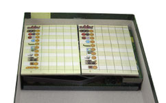 folded space insert organizer altiplano