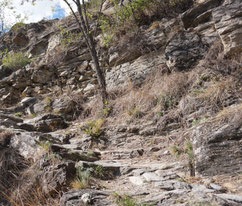 eMTB Level Schwarz Steinfeld verblockt