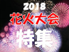 【2018年花火大会特集】東海地区で行われる花火大会まとめ