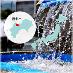 名水米　ヒノヒカリ