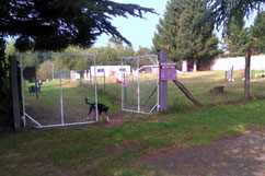 Installations ACTIV'DOG