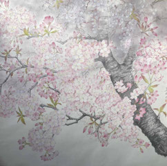 桜（工筆画・S30）