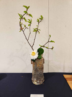 耳付花入ー伊賀土（径11x高26）