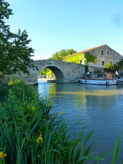 le pont de pierre en dos d'âne à une arche en plein cintre construit avant 1683