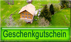 Drohnen Gutschein Fotogutschein Luftbild Gutschein Flugbild Fotografie Landschaftsfotografie Foto mit Drohne Drohnenfoto  Geschenk Wein Jubiläum Auto Haus Foto  Firmenfoto Festanlass  Geburtstag St. Gallen Glarus Schwyz Nidwalden Obwalden Vordertal Maag
