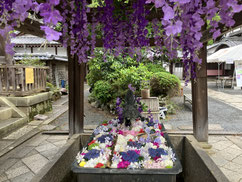 柳谷観音　花手水