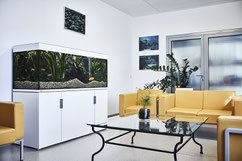 Wartebereich im Medias Klinikum mit modernen gelben Sitzmöbeln, einem Glas-Tisch und einem großen Aquarium. Pflanzen und Kunstwerke an den Wänden vervollständigen die angenehme Atmosphäre.